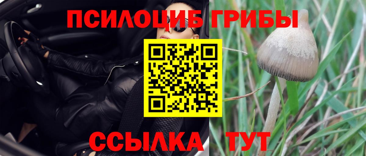 Галлюциногенные грибы MAGIC MUSHROOMS Советск